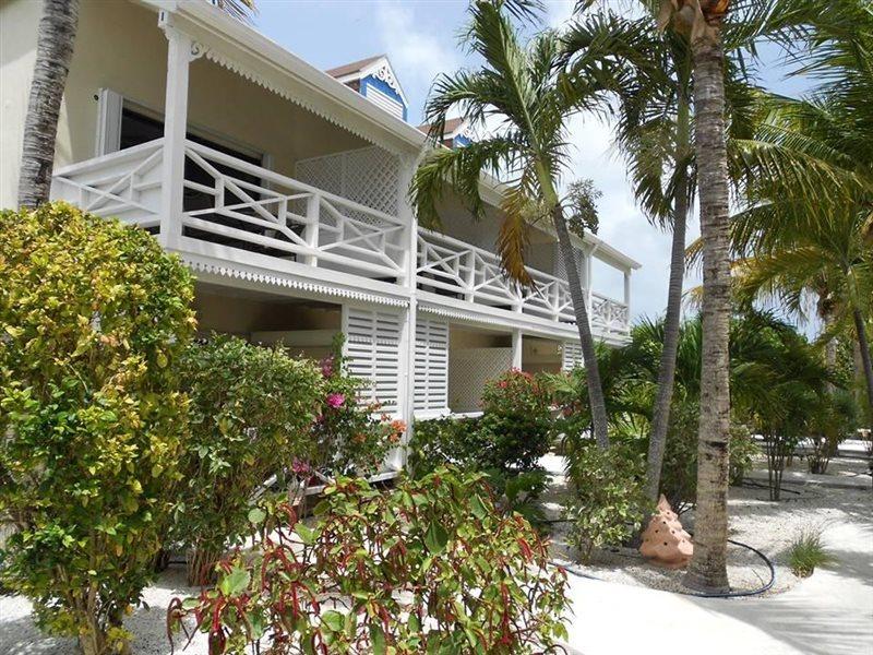 Caribbean Paradise Inn Grace Bay Exteriér fotografie