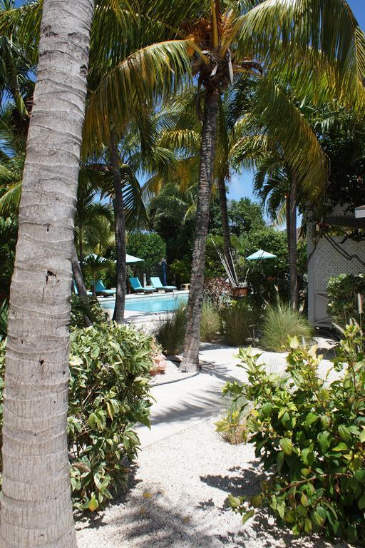 Caribbean Paradise Inn Grace Bay Exteriér fotografie