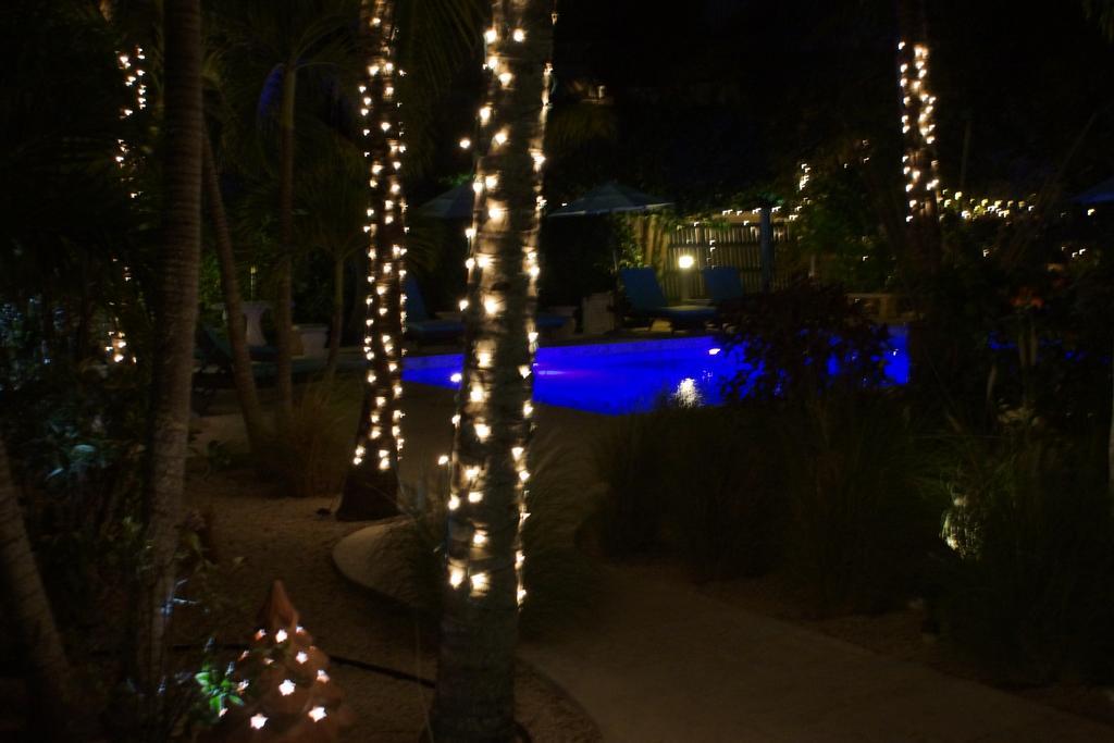 Caribbean Paradise Inn Grace Bay Exteriér fotografie