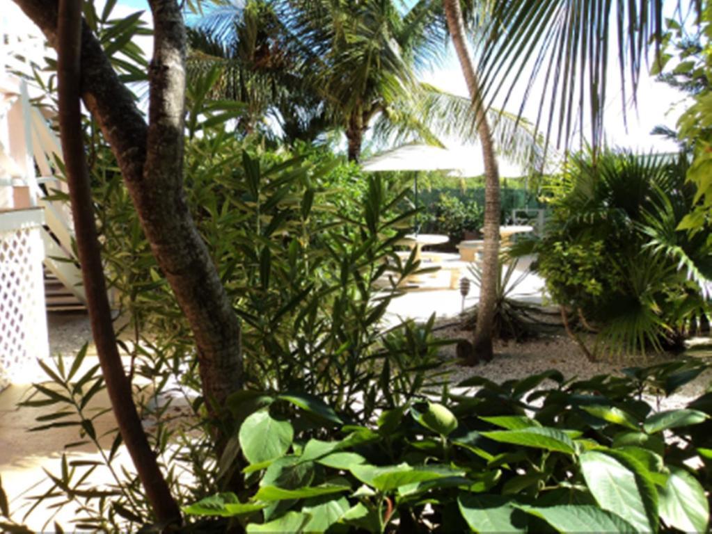 Caribbean Paradise Inn Grace Bay Exteriér fotografie